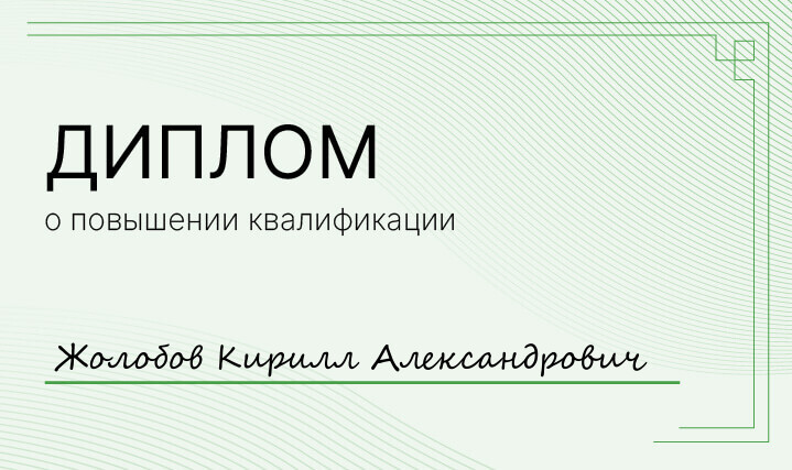 Диплом Жолобов Кирилл Александрович